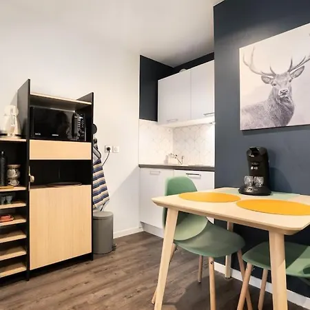 Apartment Cosy Avec Parking Lyon